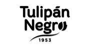 Tulipan negro