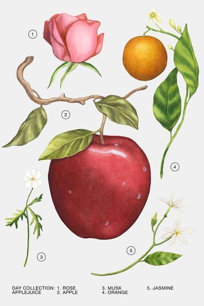 Apple juice Zara 90 мл в упакуванні 582-888 фото