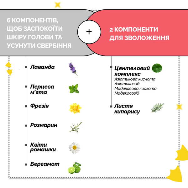 Пілінг для шкіри голови з частинками солі з мертвого моря Dr.Forhair sea salt scaler, 300мл 18c-817 фото